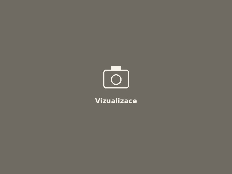 Vizualizace po rekonstrukci